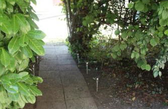 À tire-larigot - Foto 8