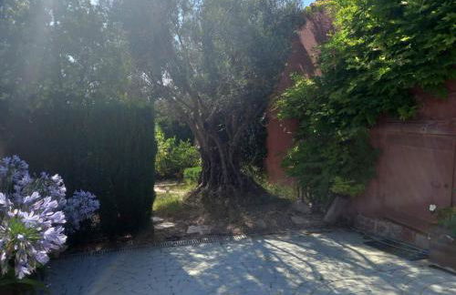 Villa Anna-Altea - Photo 43