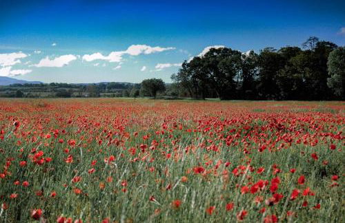 Chez Janie Hirst - Foto 80