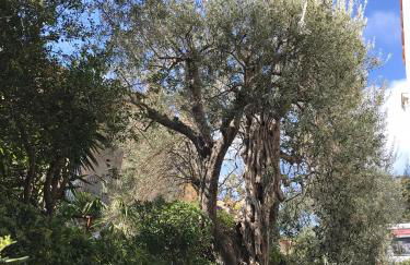 "L'olivadou" ST JEAN CAP FERRAT - Foto 21