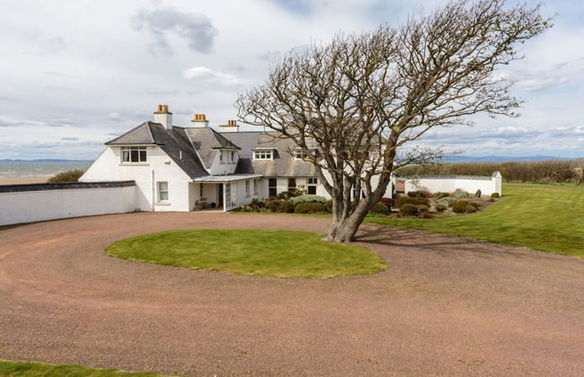 Green Craig - Foto 43