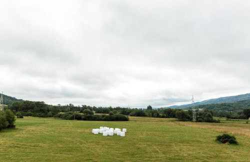 Blisko Lasu - Foto 51