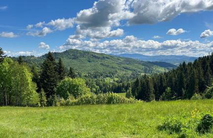 Ostoya Skalanka KDN - Foto 3