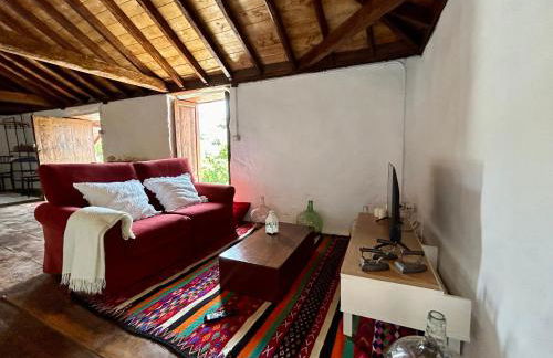 Casa Canaria Tradicional Rosalía - Foto 11