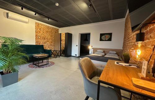 Apartamenty Gliwice Staromiejska 65 - Foto 10