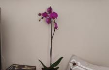 A casa di Chiara - Foto 37