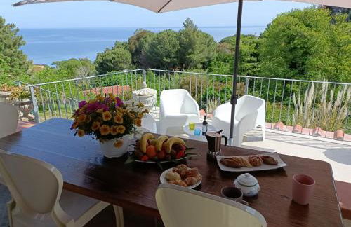 casa panoramica bouganville - Foto 26