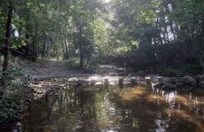 La Fàbrica de Targarona - Foto 60