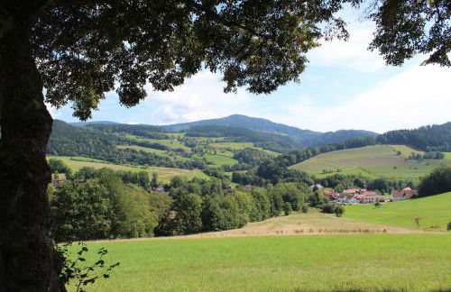 App mit Klima, Pool, Garage für Auto, Bike, Skier, AktivCARD optional - Foto 38