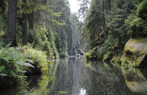 1-bedroom holiday apartment - Foto 38