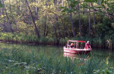 Dom Wakacyjny Quattro Niesulice - Foto 9