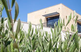 Gîte au cœur des vignes, vue sur le Minervois - Foto 8