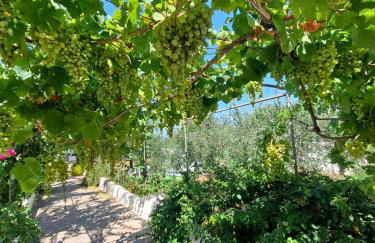 Villa Mele - Foto 64