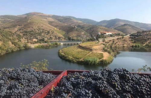 Casa do Cruzeiro - Foto 21