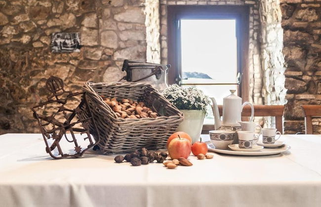 Masseria Salecchia - Photo 37