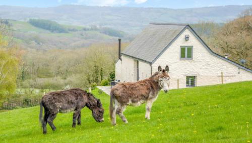 USK Barn - Foto 4, Other