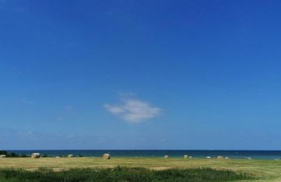Hof am Meer "Seemöwe" - Foto 30