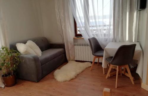 Antonówka - Foto 34