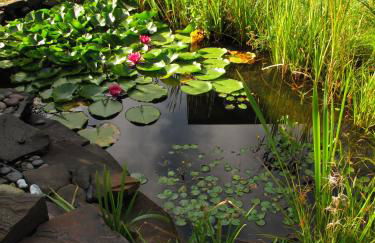 Komfortwohnung City/Messe 25 Min - Foto 45