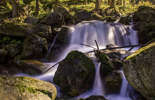 A CASA Opal - Photo 19