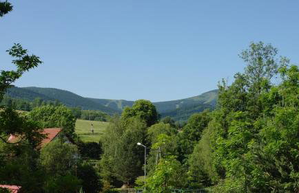 Domki Pod Jesionami - Foto 32