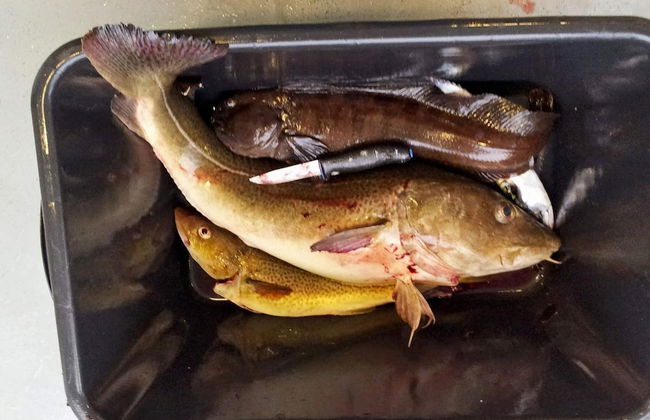 Seaside Fisherman s Haven-by Traum - Foto 47