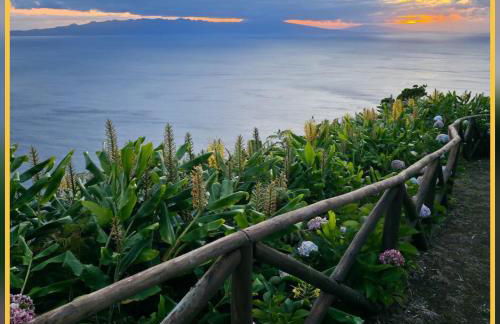 Herdade das Hortênsias - Foto 35