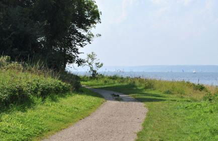 Strandblick mit Strandkorb & Fahrrädern - Foto 24