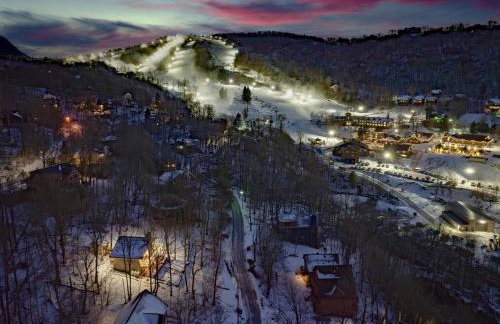 Beech Mountain Walk to Slopes Sleeps 9 Pet Friendly - Foto 69