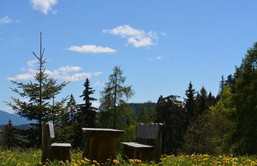 Obkirchhof - Foto 14