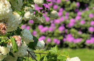 Hof Düshop - Foto 28