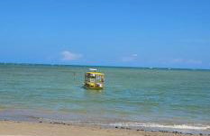 Família rocha - Foto 4