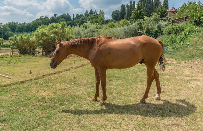 Casa Elia 4 2 in Palazzone - Foto 25