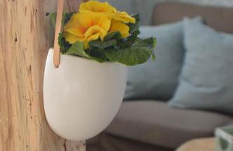 Ferienwohnung "Auszeit" - Photo 10