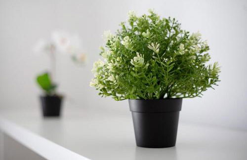 Penthouse 3A - Photo 9