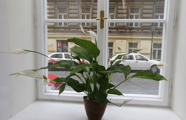 Greg Apartments Kampa Prague - Photo 40