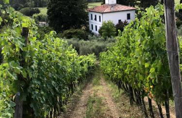 Il Pezzatino - Foto 92