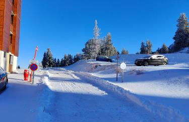 Appartement Edelweiss Chamrousse vue sur Recoin La Croix de Chamrousse Grenoble - Foto 37