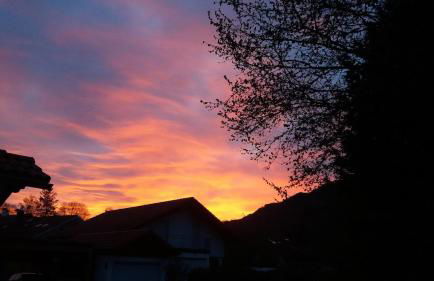 Ruhige Lage, Alpen & See Nähe - Foto 20