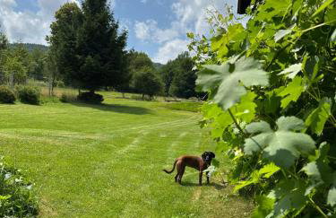 Dom Pod Dębem Agroturystyka - Foto 54