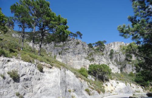 Villa Estrella de Cotobro - Foto 38