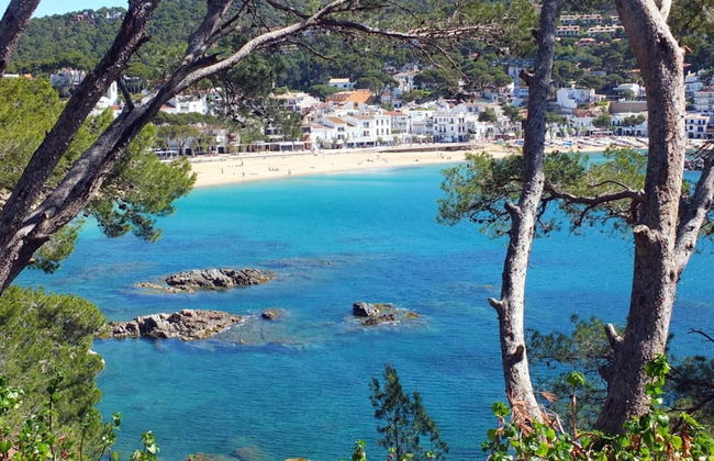 Ancora 01 in Llafranc - Foto 18