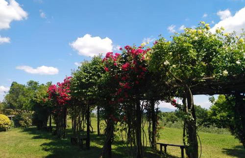 Locanda Rosati - Foto 68