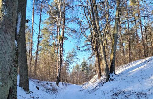 Domek dla dwojga - Photo 30