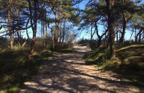 Wassermusik - Foto 21