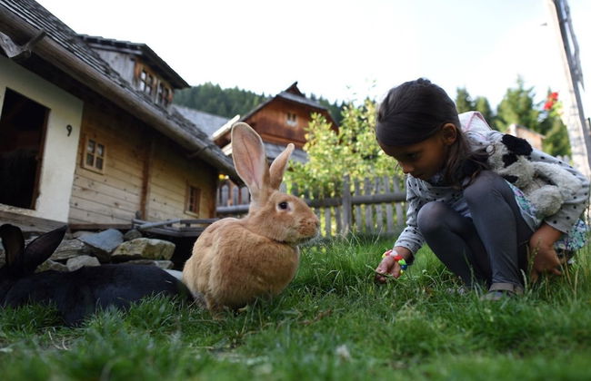 Almdorf Seinerzeit - Foto 62