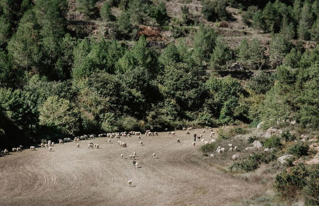 Vila Caelus Masia Boutique - Foto 47