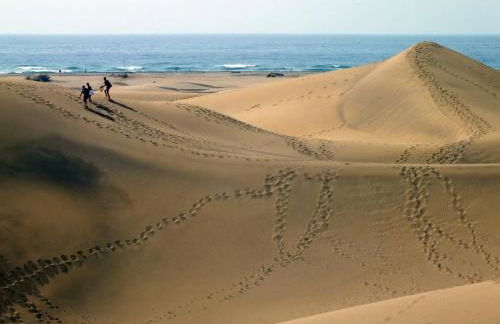 Vacacional Tegueste 2ºB - Foto 18