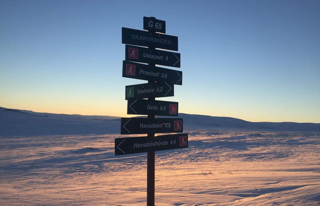 4 Person Holiday Home in Geilo-by Traum - Photo 20