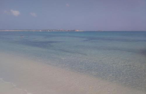 Agriturismo la Mimosa - Foto 22